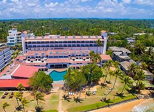 Citrus-Hikkaduwa-1 Citrus-Hikkaduwa-1